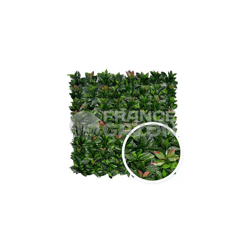 Haie Artificielle PHOTINIA 5m2 AMVPHOTINIA  Haies artificielles