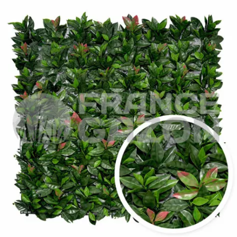 Haie Artificielle PHOTINIA 5m2 AMVPHOTINIA  Haies artificielles
