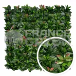 Haie Artificielle PHOTINIA 5m2 AMVPHOTINIA  Haies artificielles