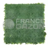 Mur végétal LIANE 5m2 MVLIANE  Mur végétaux synthétiques