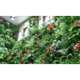 mur-vegetal-tropical-artificiel-decoration-exotique